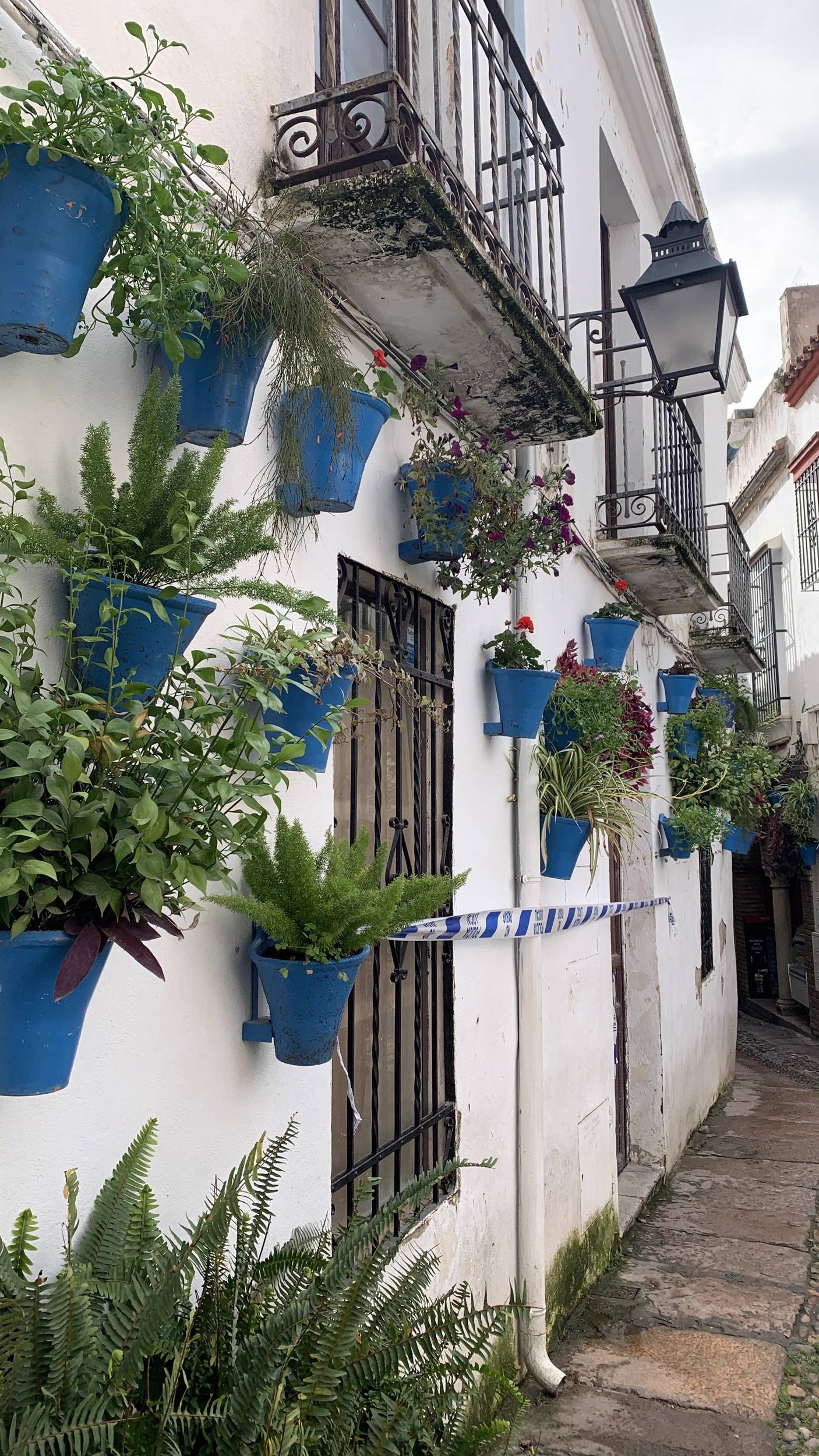 Foto Cordoba