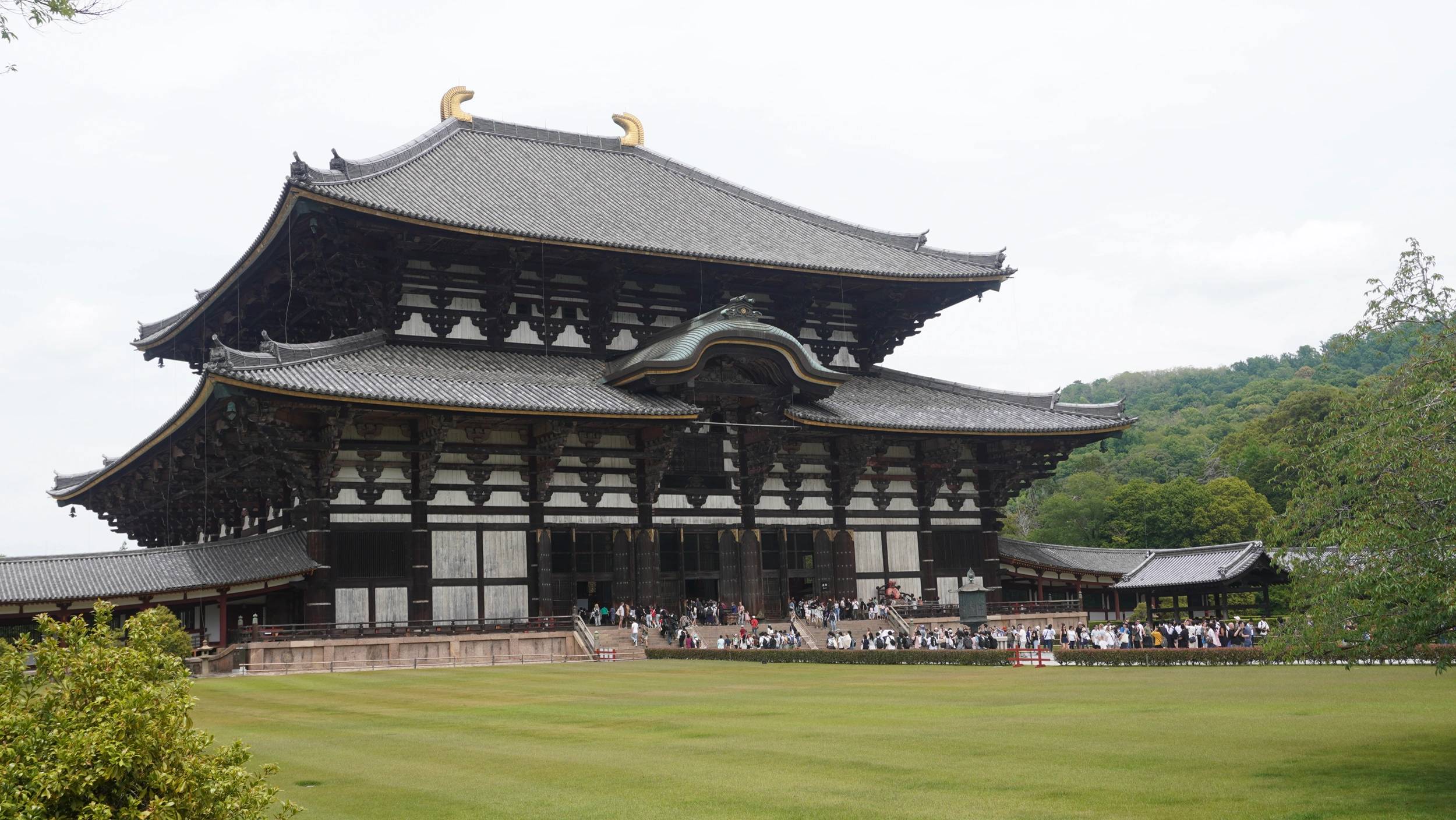 Foto Nara e Osaka