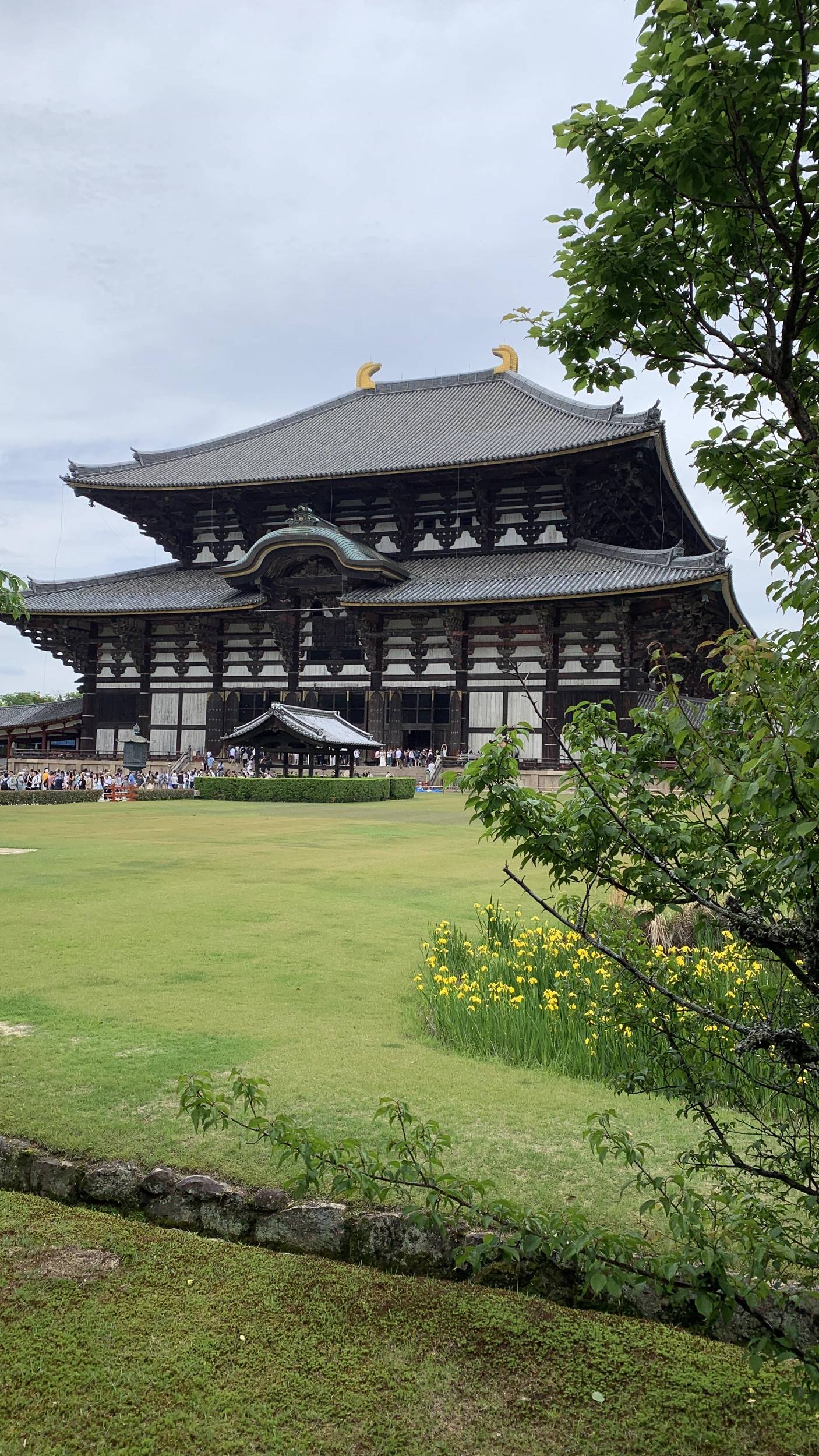Foto Nara e Osaka