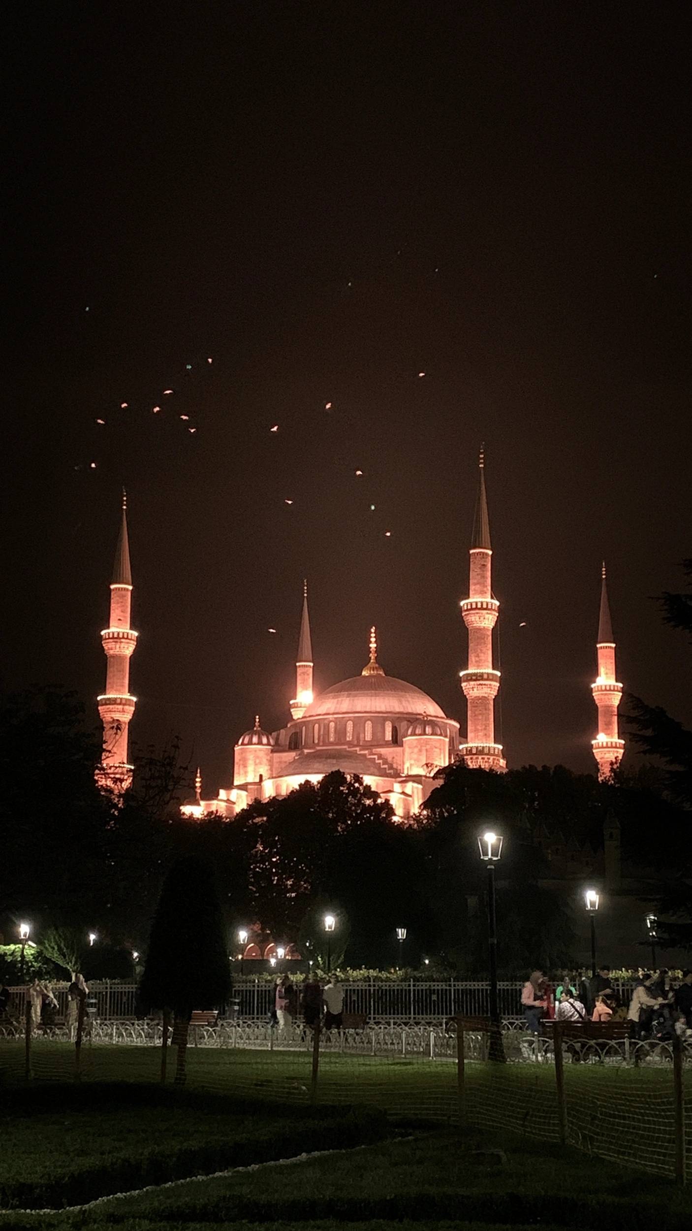 Foto Istanbul by
                        night