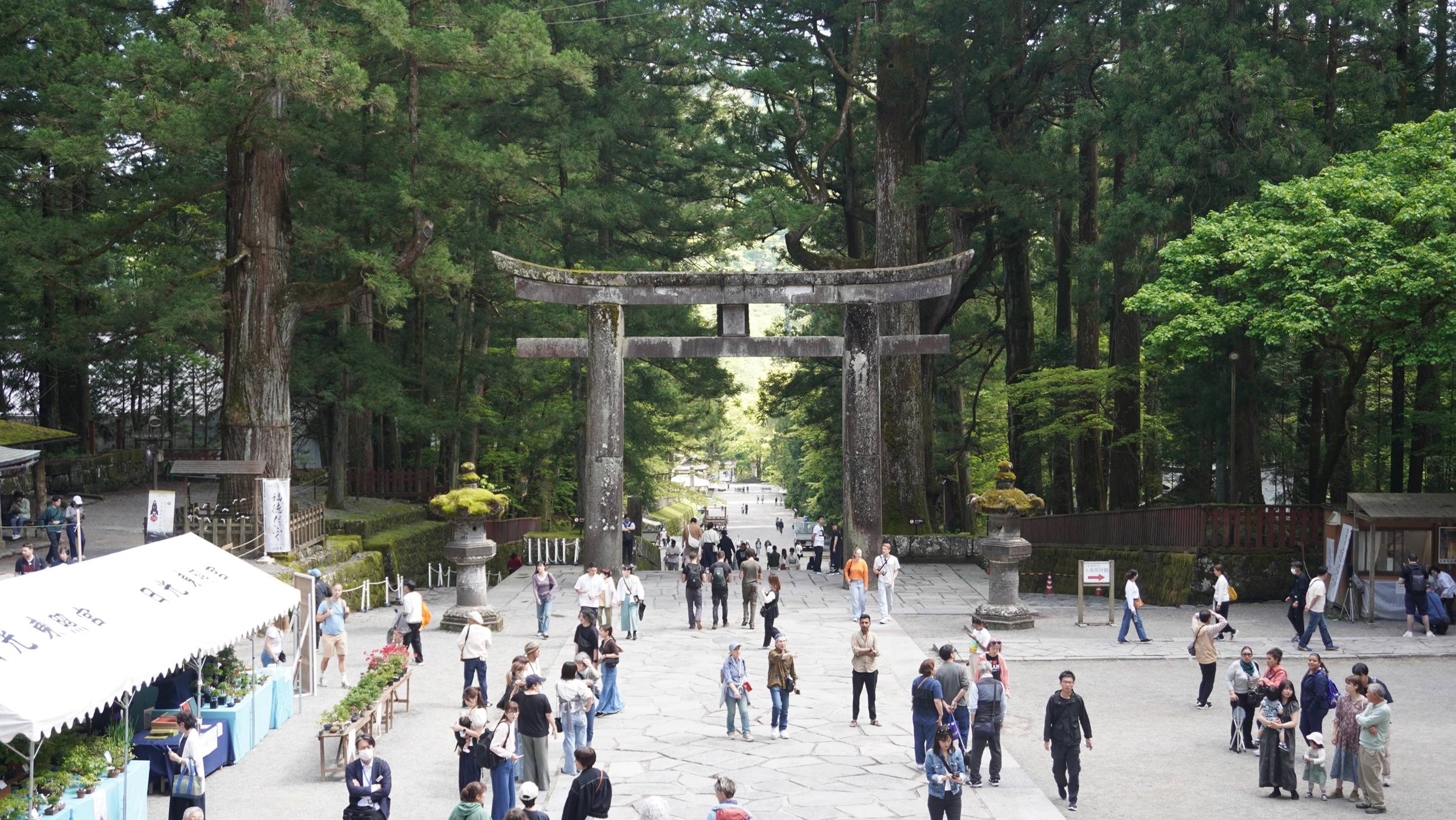 Foto Nikko
