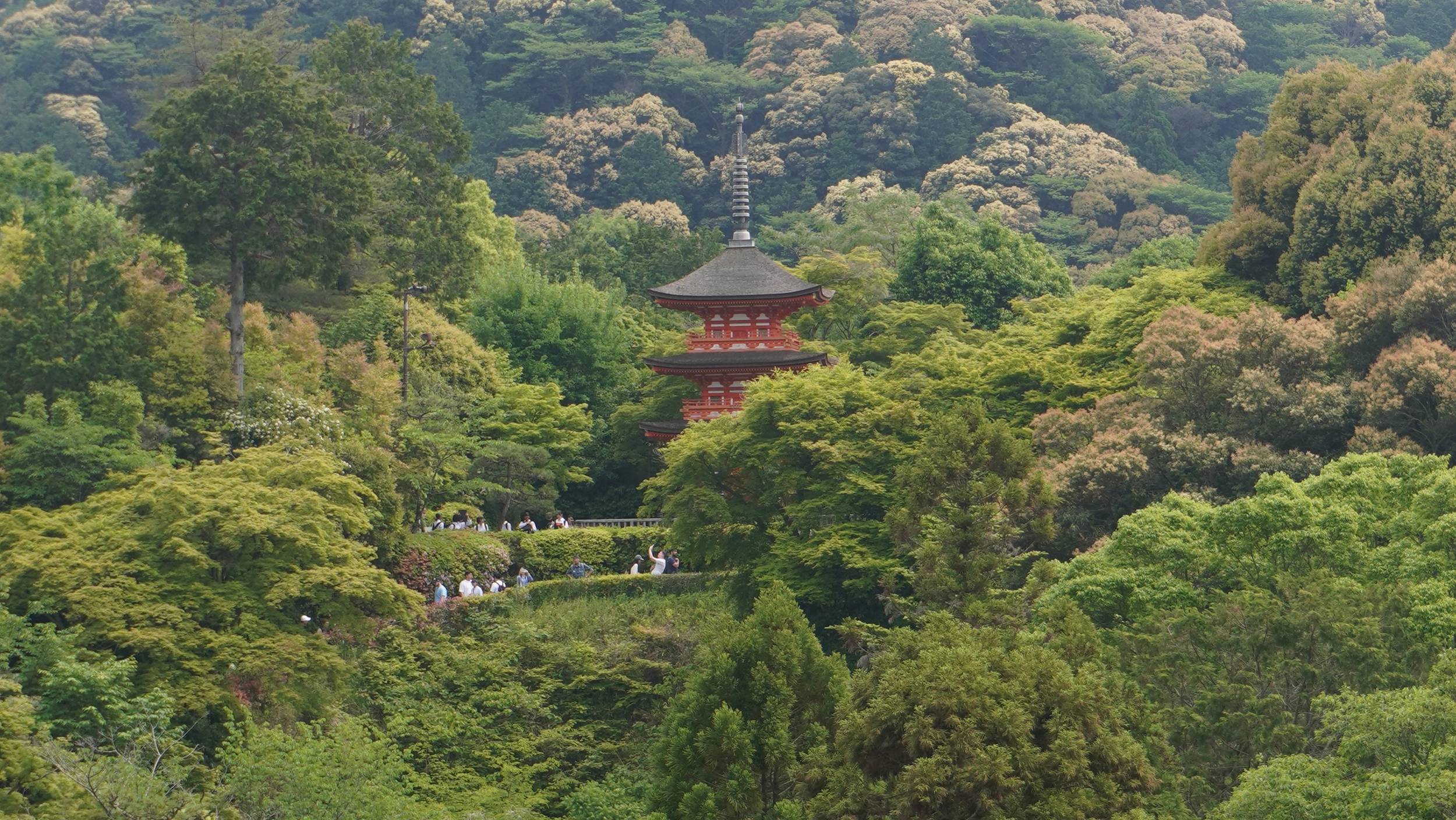 Foto Kyoto