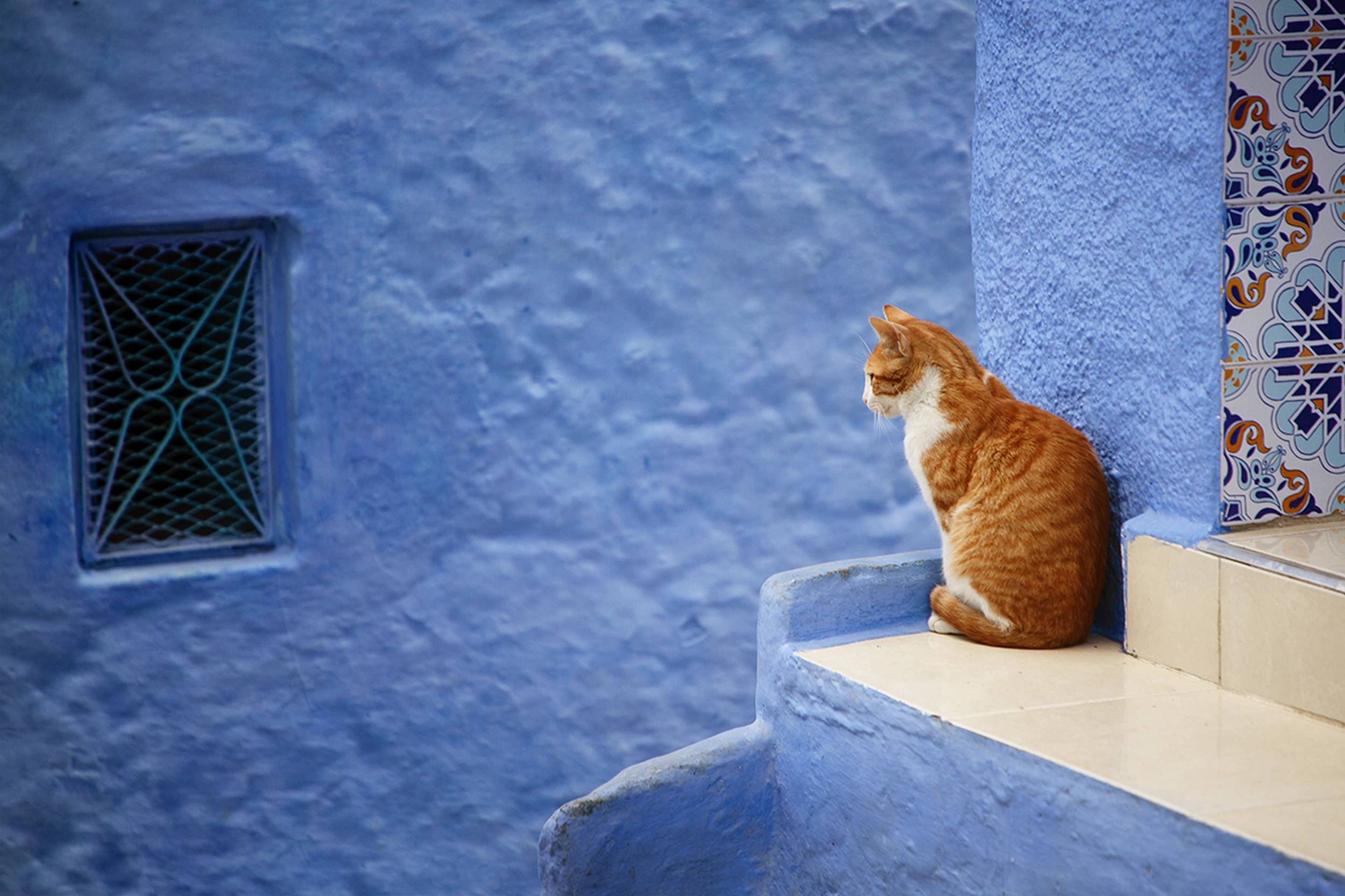 Foto Chefchaouen