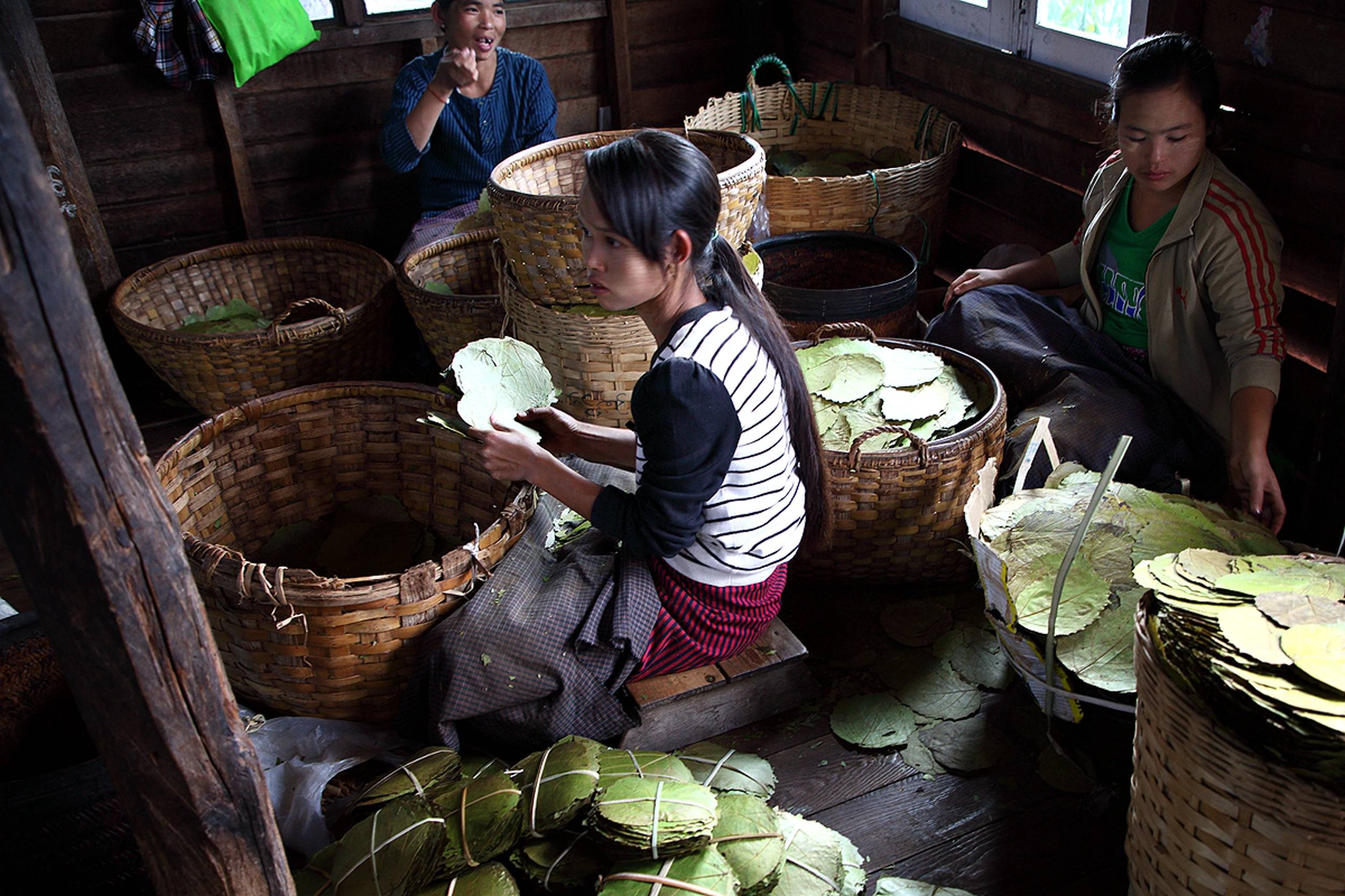 Foto Lago Inle