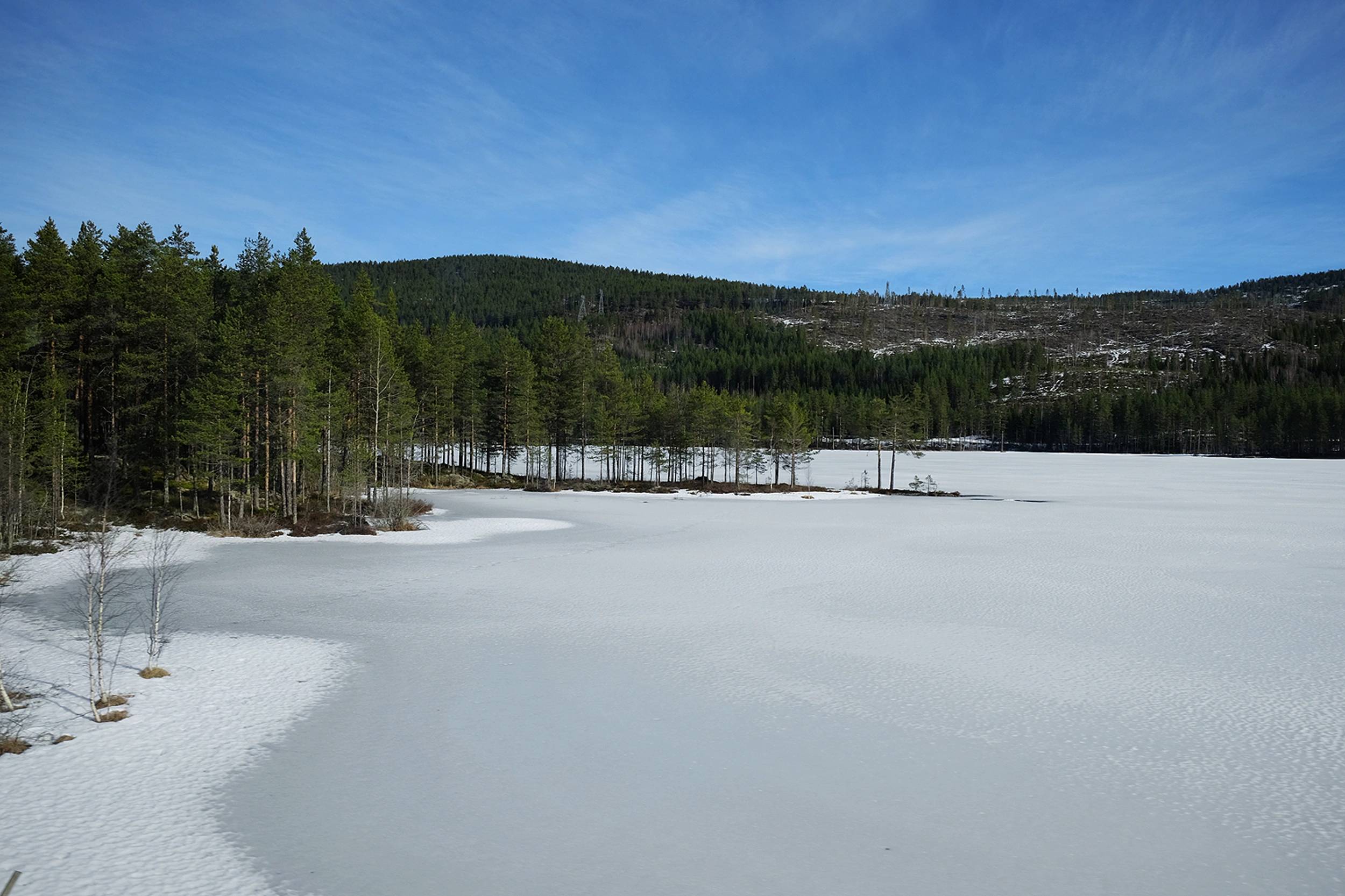 Foto Oslo