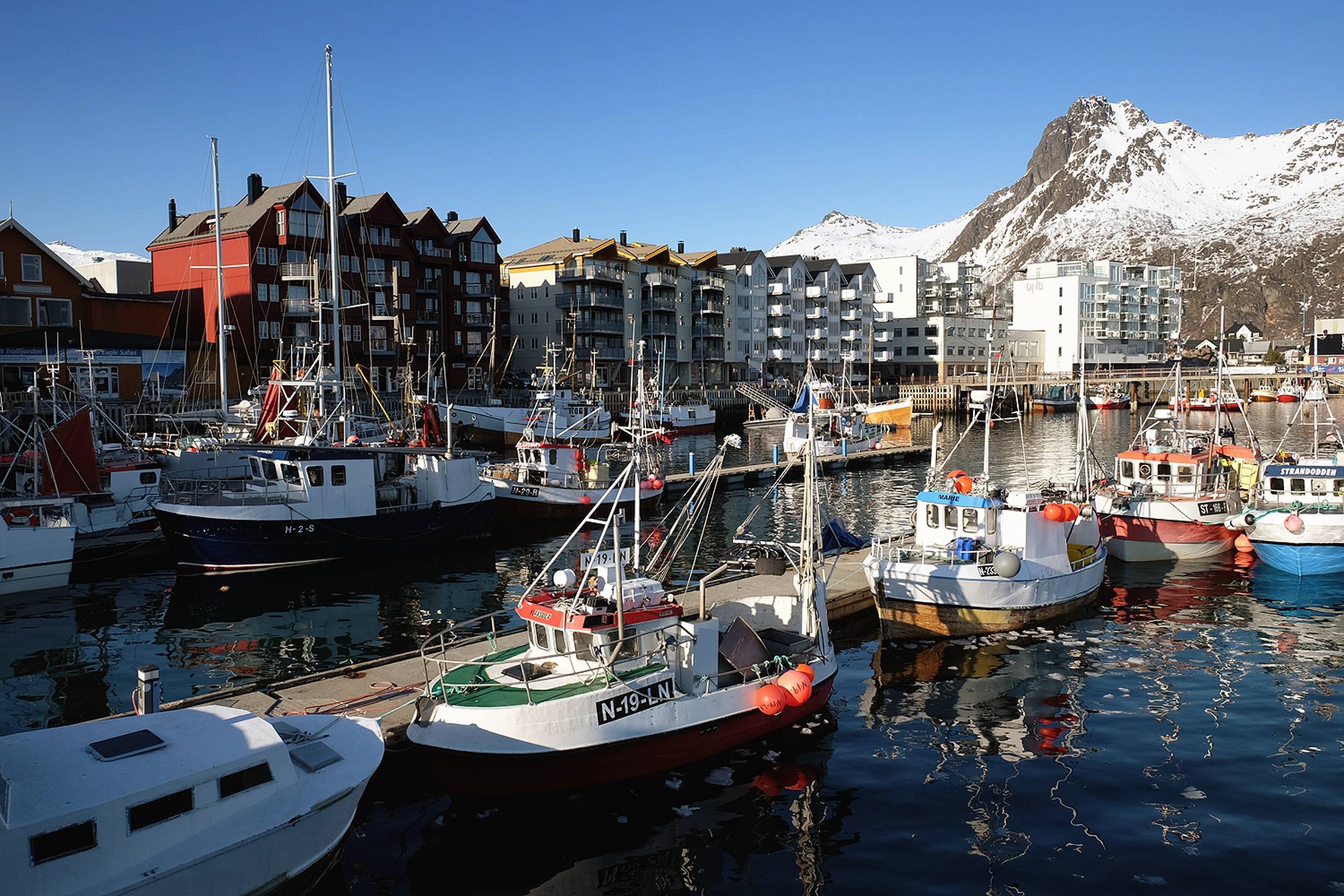 Foto Isole Lofoten e
                        Tromso